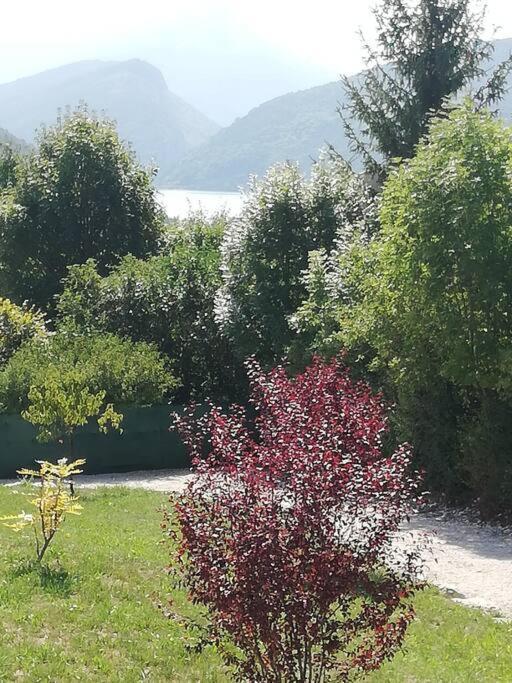 Rez De Jardin Dans Quartier Calme Et Ensoleille *